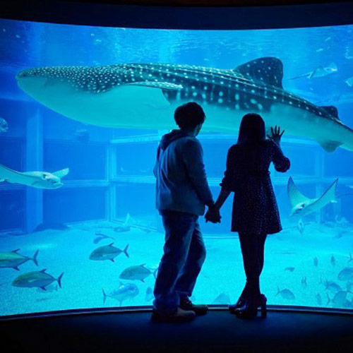 水族館デートの男性のオススメコーデ デートに人気の水族館